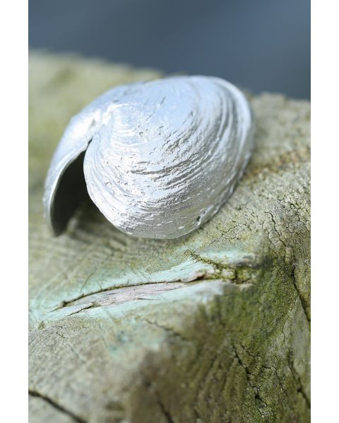 CLAM -  - Amos Pewter