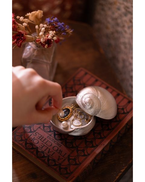 MOON SNAIL BOX -  - Amos Pewter