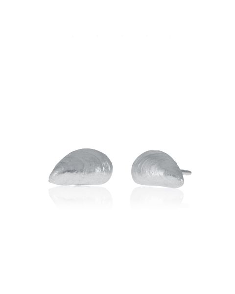 MUSSEL EARRINGS -  - Amos Pewter