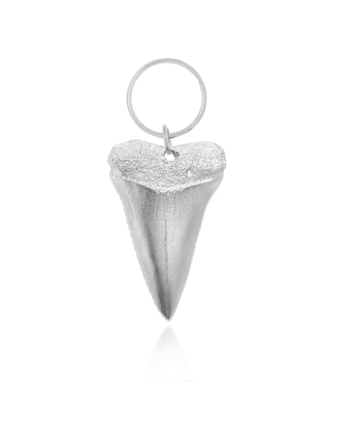 SHARK TOOTH KEY RING -  - Amos Pewter