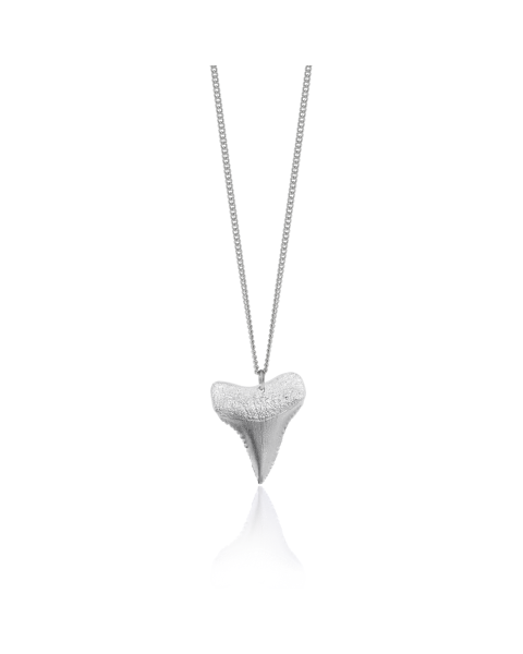 SHARK TOOTH NECKLACE -  - Amos Pewter