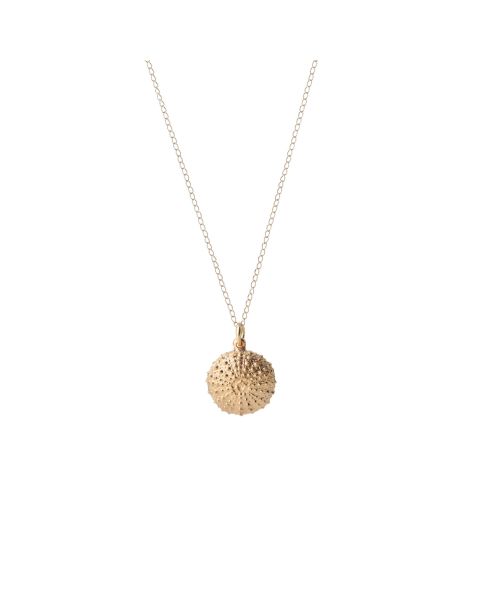 Alchemy - Sea Urchin -  - Amos Pewter