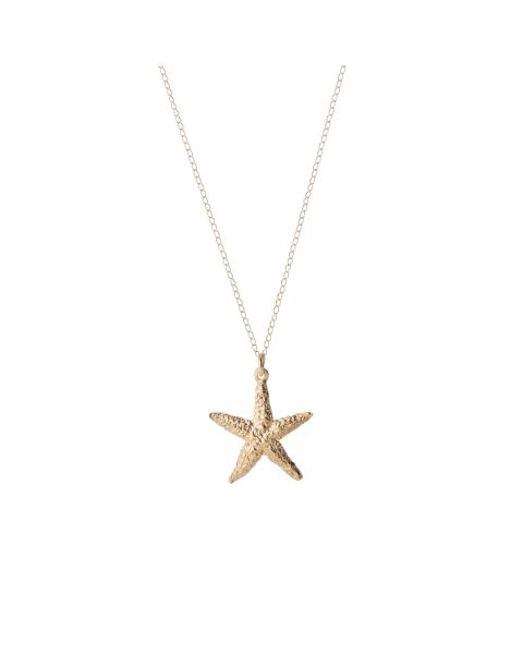 Alchemy - Starfish -  - Amos Pewter