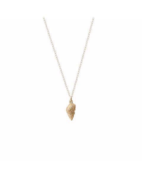 Alchemy - Whelk -  - Amos Pewter