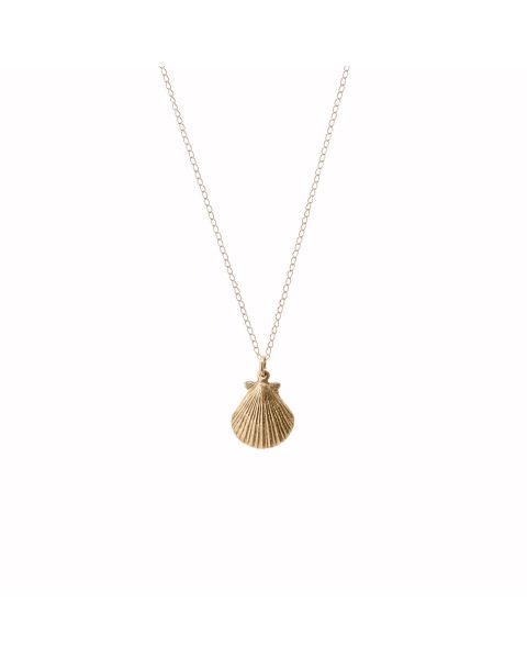 Alchemy - Scallop -  - Amos Pewter