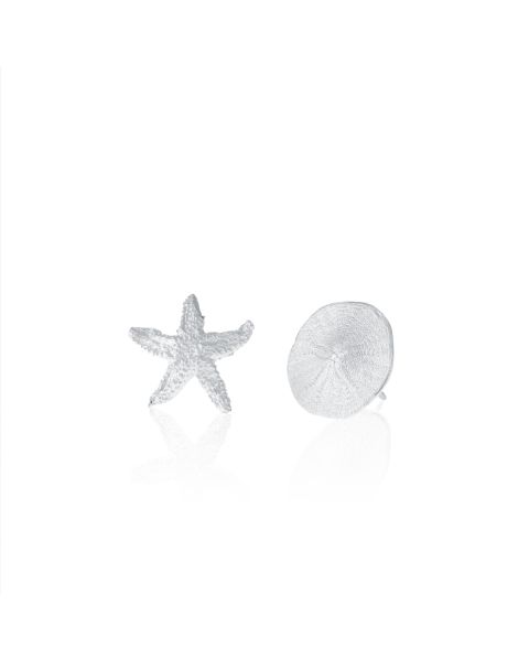 SAND DOLLAR & STARFISH EARRINGS -  - Amos Pewter