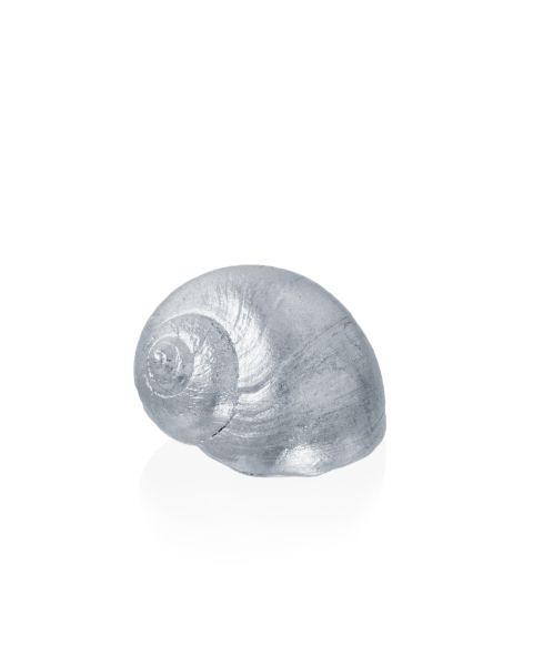 MOON SNAIL -  - Amos Pewter