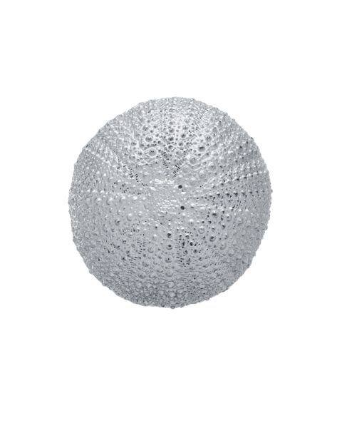 SEA URCHIN -  - Amos Pewter