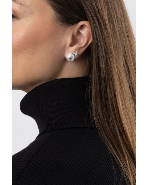 SAND DOLLAR & STARFISH EARRINGS -  - Amos Pewter