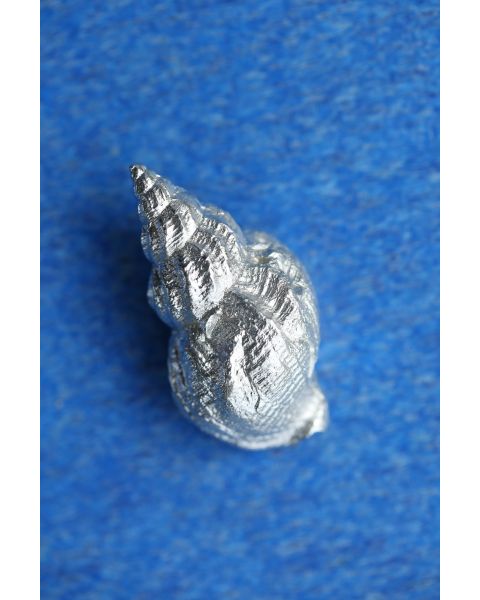 WHELK -  - Amos Pewter