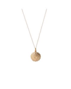 Alchemy - Sea Urchin -  - Amos Pewter