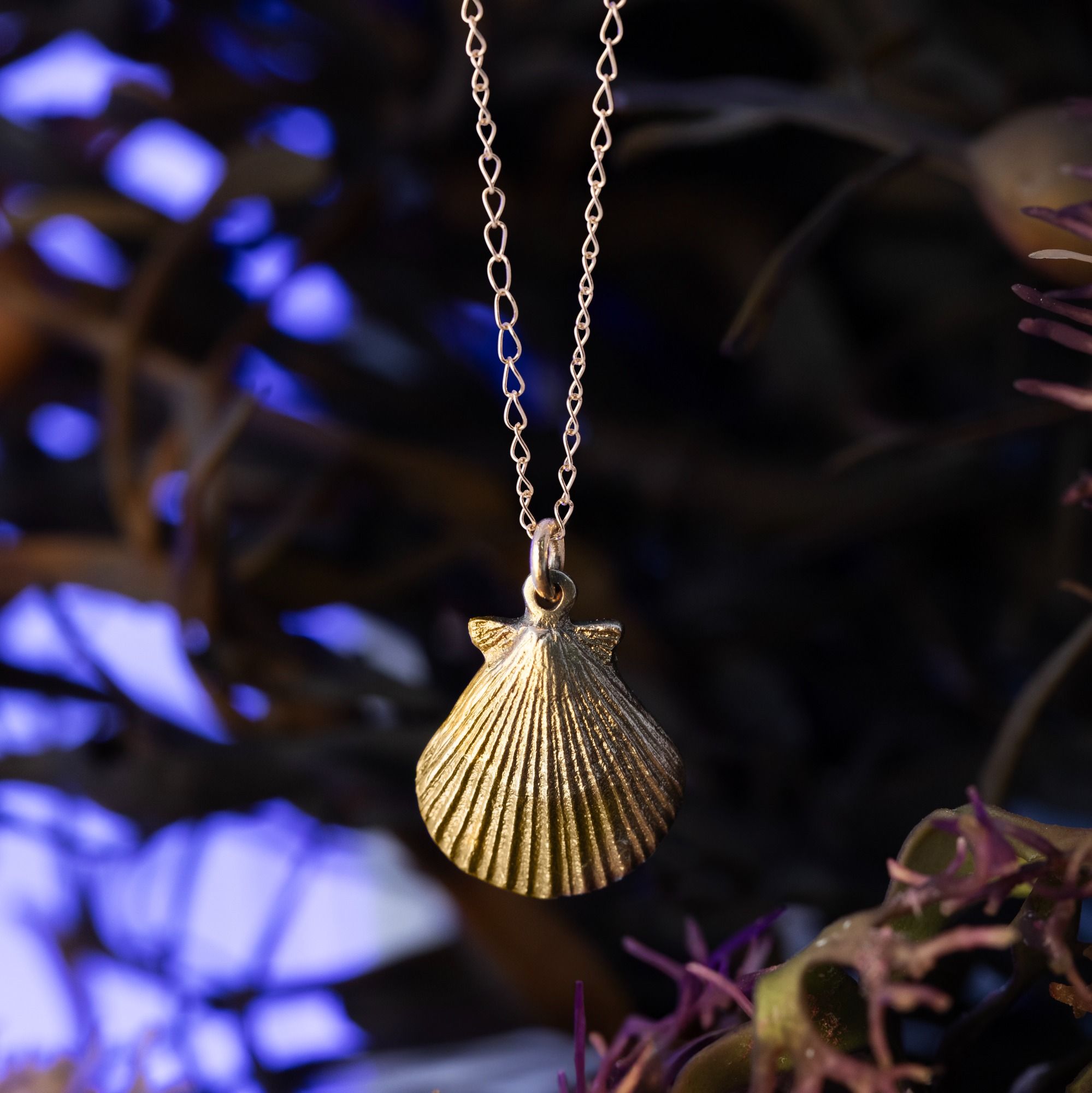 Alchemy - Scallop - - Amos Pewter