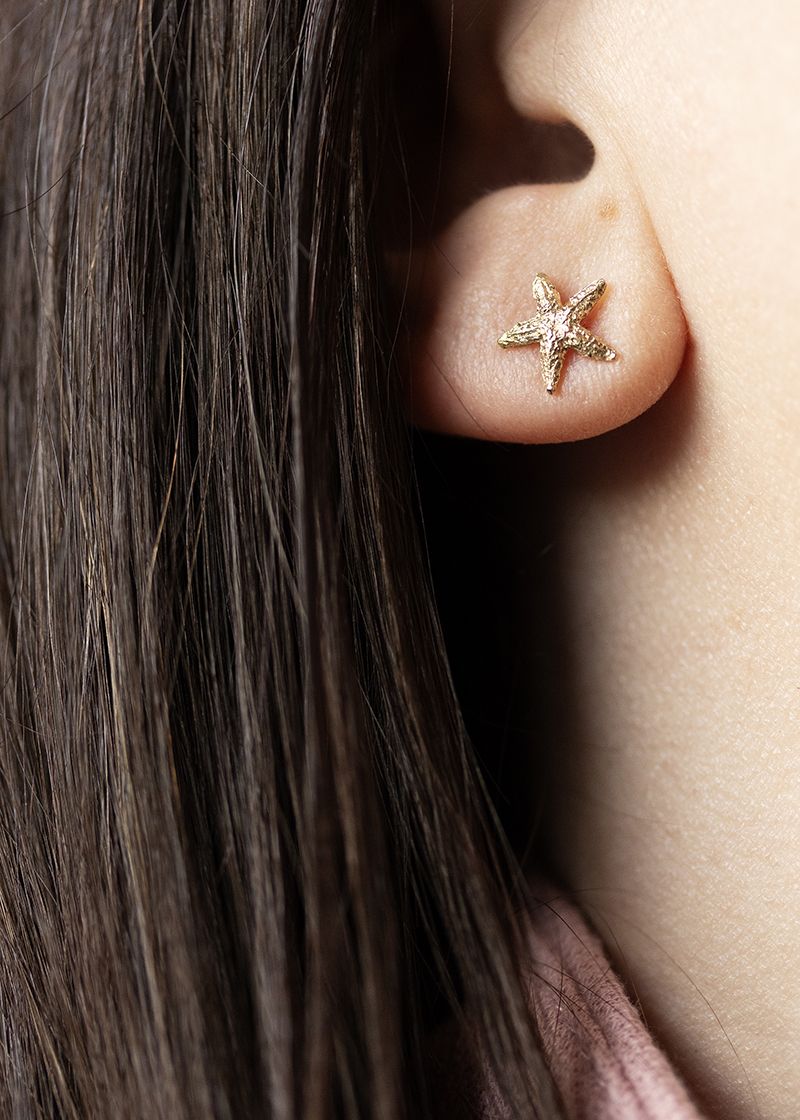 Alchemy - Starfish Earrings -  - Amos Pewter