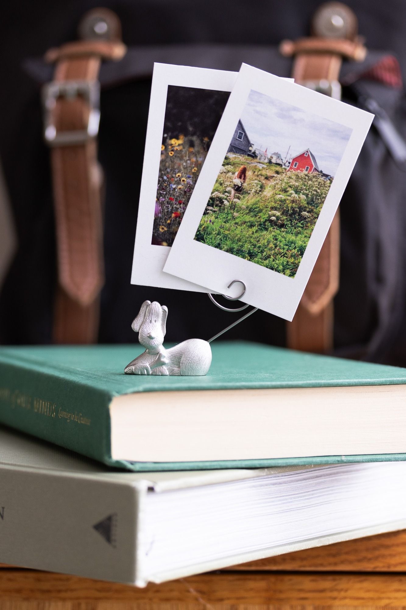 DOG MINI PICTURE HOLDER -  - Amos Pewter