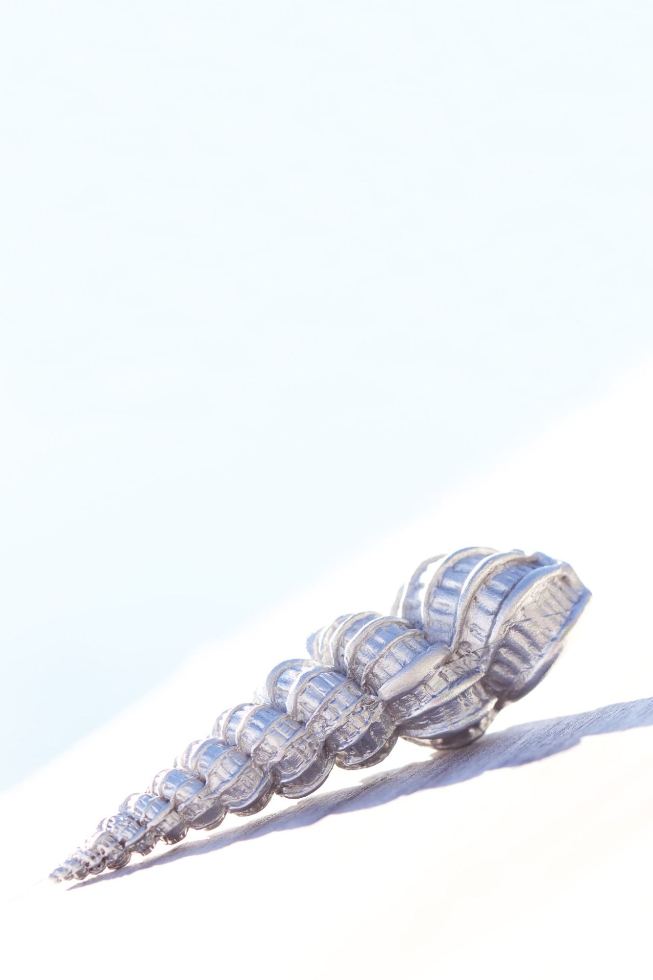 STAIRCASE SHELL -  - Amos Pewter