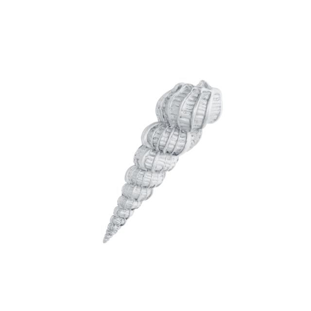 STAIRCASE SHELL -  - Amos Pewter