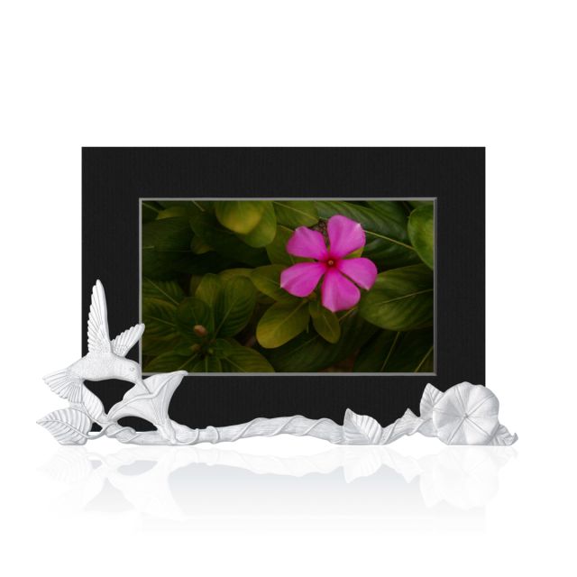 HUMMINGBIRD PICTURE HOLDER -  - Amos Pewter
