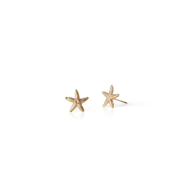 Alchemy - Starfish Earrings -  - Amos Pewter