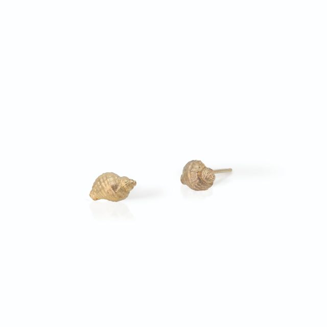 Alchemy - Whelk Earrings -  - Amos Pewter