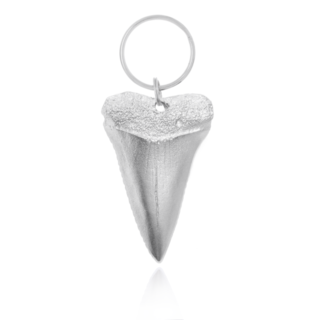 SHARK TOOTH KEY RING -  - Amos Pewter