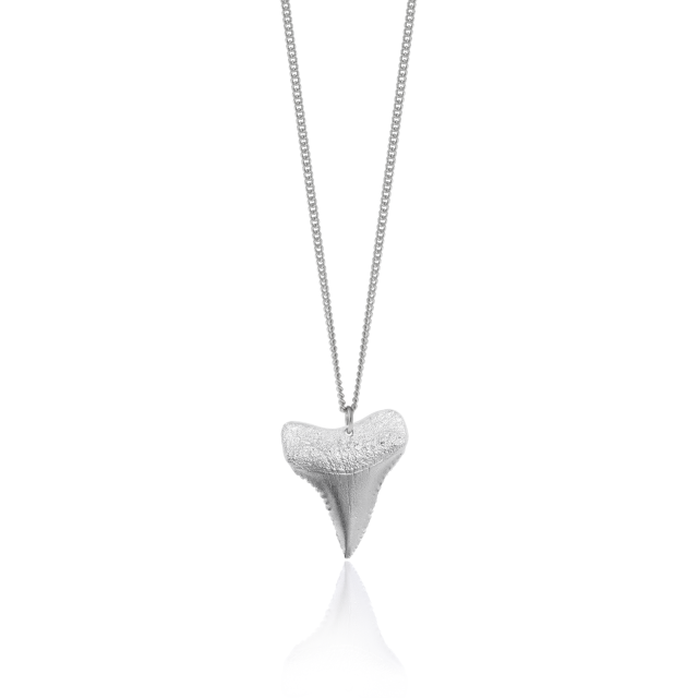 SHARK TOOTH NECKLACE -  - Amos Pewter