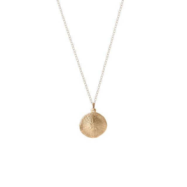 Alchemy - Sand Dollar -  - Amos Pewter