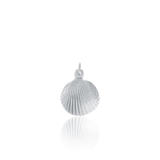 SCALLOP CHARM -  - Amos Pewter