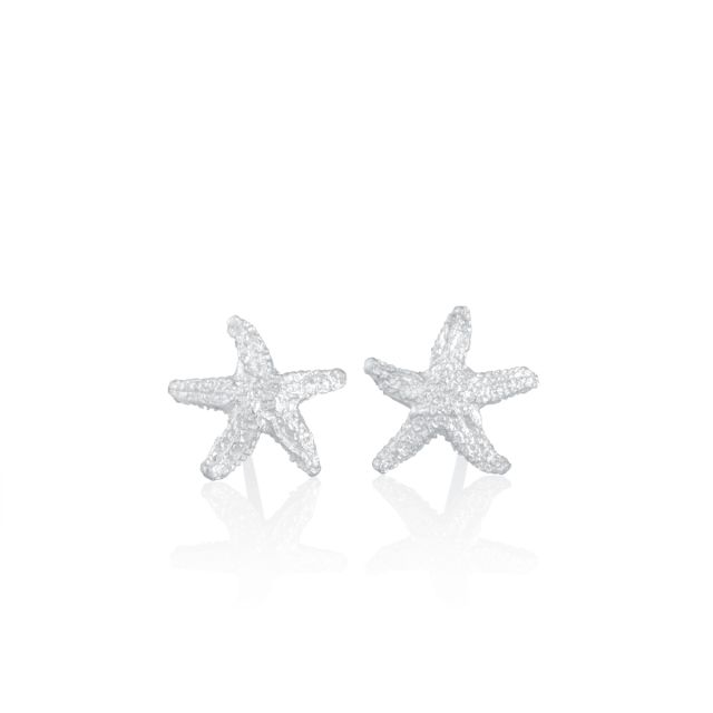 STARFISH EARRINGS -  - Amos Pewter