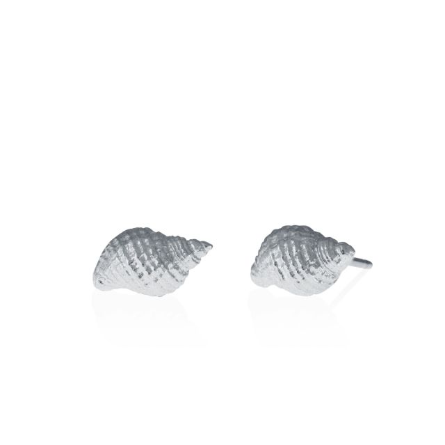 WHELK EARRINGS -  - Amos Pewter