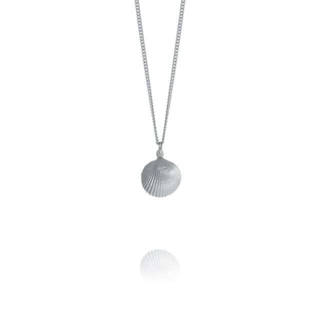 SCALLOP NECKLACE -  - Amos Pewter