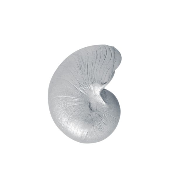 NAUTILUS - - Amos Pewter