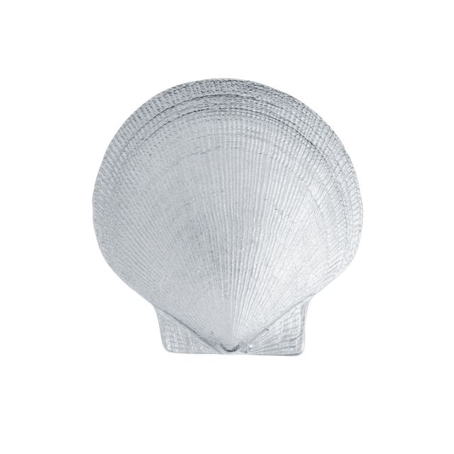 SCALLOP -  - Amos Pewter