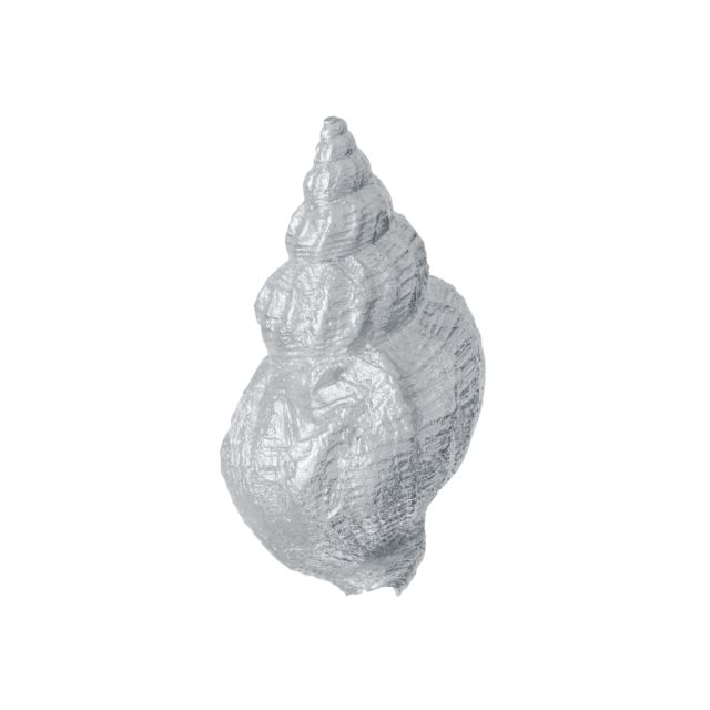 WHELK -  - Amos Pewter